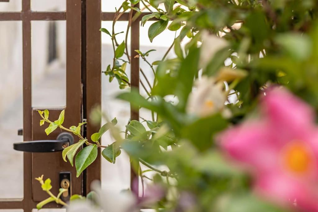 Cconforthotels Appartamento Domus Venezia 巴里 外观 照片